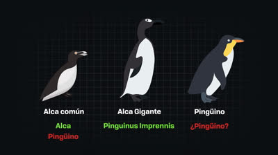 Los pingüinos están extintos
