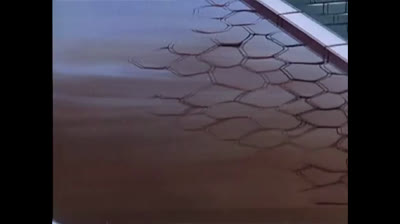 La principessa Zaffiro epi 12